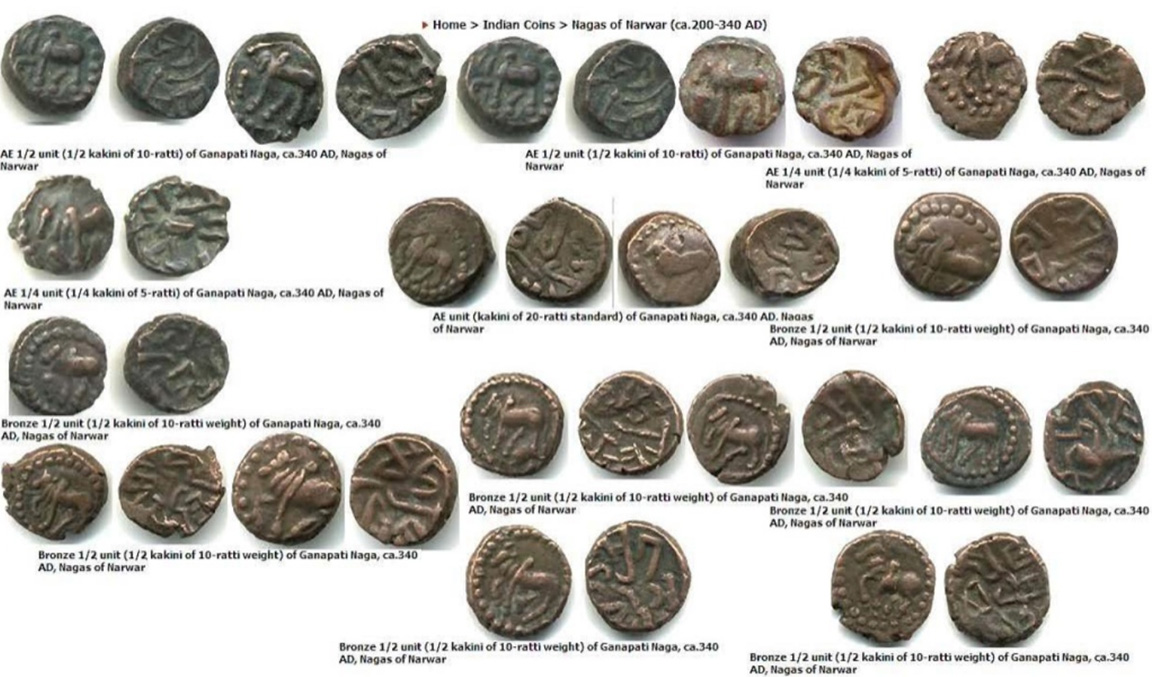 Not-Your-Usual-Weird-Ancient-Coin---Nagas-Of-Narwar?